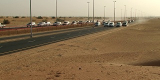 骆驼赛跑,阿联酋
