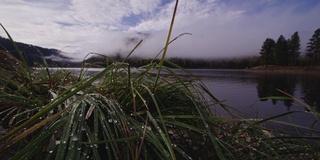 蒙大拿天鹅湖的秋景，雨后雾霭消散