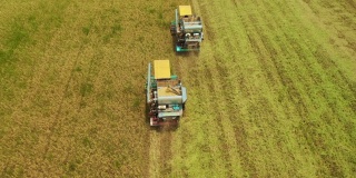 鸟瞰图联合收割机在稻田作业。