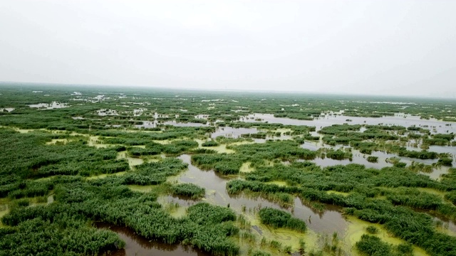 无人机拍摄中国黑龙江省的沼泽地