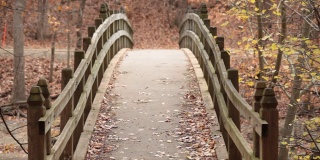 急流桥-石溪公园-华盛顿特区-秋天