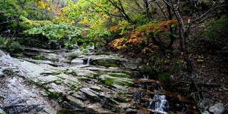 瀑布在秋天的森林在平坪沙国家公园
