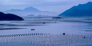 延时拍摄:中国福建霞浦的海藻养殖。