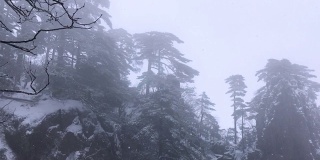 黄山罕见降雪，是联合国教科文组织世界遗产，冬季大雪景区