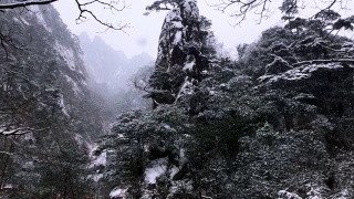黄山罕见降雪，是联合国教科文组织世界遗产，冬季大雪景区视频素材模板下载
