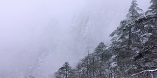 黄山罕见降雪，是联合国教科文组织世界遗产，冬季大雪景区