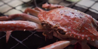 花蟹在传统的炉子上烤。泰国海鲜菜单，味道鲜美。泰国街头小吃菜单。燃烧着木炭，下面有炽热的火焰。热菜单，适合野餐时间。