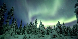 拉普兰白雪覆盖的森林上空的北极光