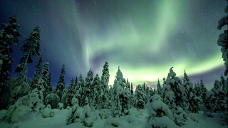 拉普兰白雪覆盖的森林上空的北极光视频素材模板下载