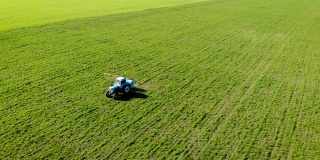 老式蓝色拖拉机与液体化学肥料在绿色的田野与作物喷小麦或大麦
