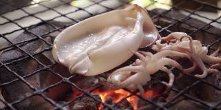 切片鱿鱼放在传统的炉子上烤。泰国海鲜菜单，味道鲜美。泰国街头小吃菜单。燃烧着木炭，下面有炽热的火焰。热菜单，适合野餐时间。