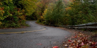 在乡间小路上的皮卡与秋天的颜色和树木