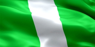 尼日利亚挥舞着国旗。尼日利亚国旗飘扬。尼日利亚标志无缝循环动画。尼日利亚国旗高清分辨率背景。尼日利亚国旗特写1080p全高清视频演示