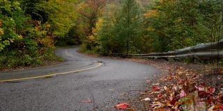 在乡间小路上的皮卡与秋天的颜色和树木