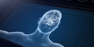 医用超高清抽象动画。实验室仪表板界面。以人脑为中心，研究计算机诊断显示。