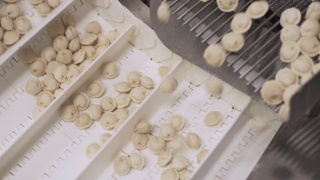 饺子工厂的自动机器生产过程。新鲜生Pelmeni落在传送带上。在食品工厂操作的工业机械。视频素材模板下载