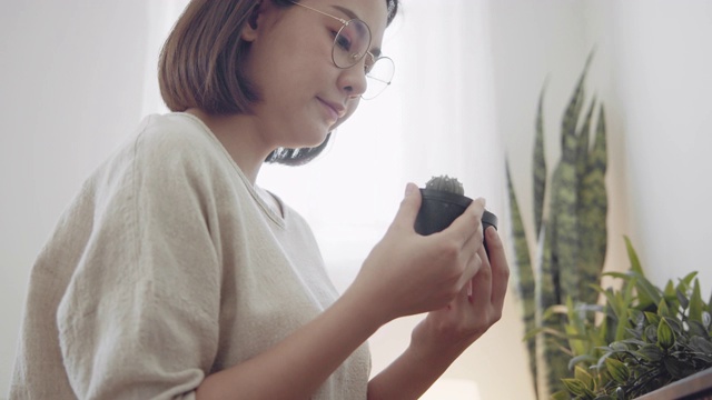 一名年轻女子正在整理仙人掌花盆