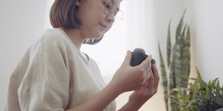 一名年轻女子正在整理仙人掌花盆