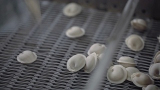 饺子工厂的自动机器生产过程。新鲜生Pelmeni落在传送带上。在食品工厂操作的工业机械。视频素材模板下载