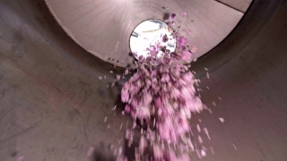 在蒸馏瓶中倒入粉红玫瑰花，香精油生产视频素材模板下载
