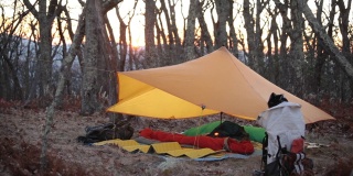 太阳落在篷布遮蔽下-三山脊荒野-乔治华盛顿国家森林，弗吉尼亚州