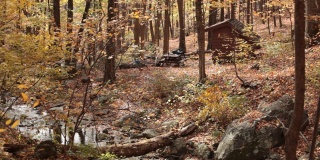 哈伯斯溪庇护所，阿巴拉契亚山径-三山脊荒野-乔治华盛顿国家森林，弗吉尼亚州