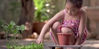 亚洲小女孩在菜园里种了一棵新树