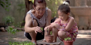 SLO MO CS亚洲小女孩和奶奶在菜园里种一棵新树