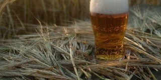 麦田里的一张木桌上放着一杯啤酒。全景拍摄。