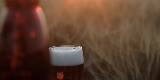 将淡凉的啤酒大量倒入透明的玻璃杯中。泡沫上升到美丽的白色帽子的边缘。玻璃立在田野里的木桌上，映衬着黄昏的夕阳。