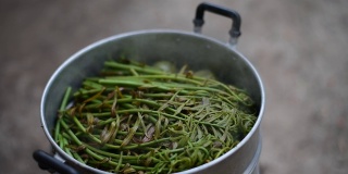 清蒸蔬菜在锅上木炭炉泰国烹饪的概念。