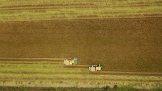 鸟瞰图联合收割机在茉莉花稻田作业。视频素材模板下载