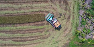 泰国农业联合收割机正在收割稻田