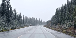汽车在暴风雪中驾驶，能见度很低的国家公园