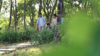 三代人在公园散步视频素材模板下载