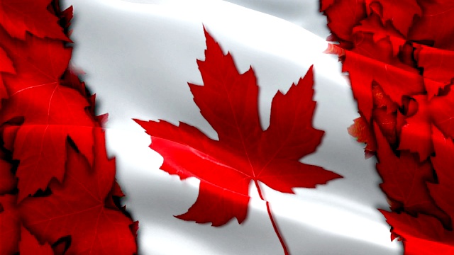 加拿大国旗视频在风中飘扬。现实的加拿大国旗背景。加拿大国旗循环特写1080p全高清1920X1080镜头。加拿大北美国家的旗帜录像的电影，新闻
