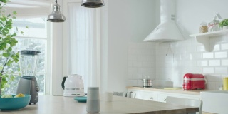 舒适的现代斯堪的纳维亚厨房室内电器和水果。空荡荡的阳光房，木桌上有无线扬声器、咖啡机、水壶和烤面包机。冬天的雪。