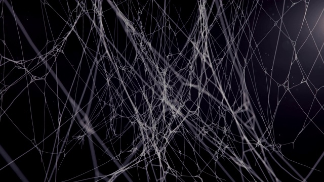 神秘的蜘蛛网抽象构图，在黑暗的背景中被飞行的粒子包围。3d渲染数字动画。神秘的光量。4K，超高清分辨率