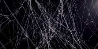 神秘的蜘蛛网抽象构图，在黑暗的背景中被飞行的粒子包围。3d渲染数字动画。神秘的光量。4K，超高清分辨率