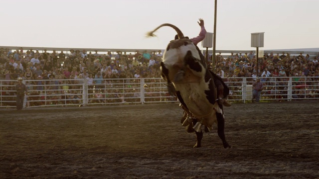 慢动作拍摄的一个男性公牛骑手在一个公牛骑比赛在一个体育场充满人在日落