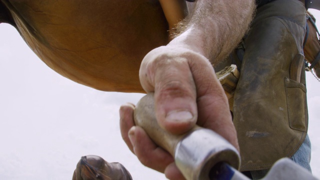 一个阳光明媚的日子，在农场的牧场上，一个三十多岁的男蹄铁匠用蹄钳修剪一匹棕色的马的蹄子，用锉刀锉平
