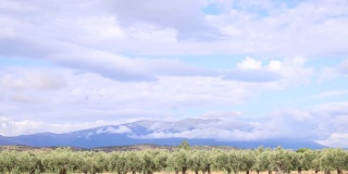 4k延时云飞过西班牙的一座山，蒙卡约的一片橄榄树地