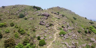 香港大帽山夏日阳光明媚，天空湛蓝