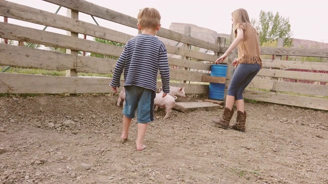 小男孩和少女姐姐追逐小猪在美国西部的农场生活在严肃的时期