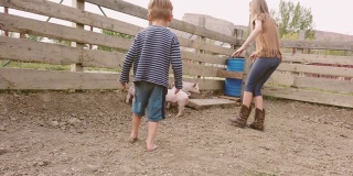 小男孩和少女姐姐追逐小猪在美国西部的农场生活在严肃的时期