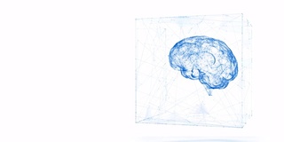 三维抽象未来科学动画大脑线框在数字立方体