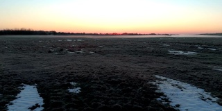 有晨霜和阳光的草地，黎明时冰冻的牧场。和平的风景