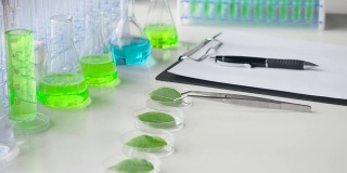 实验室的工作台上有试管和绿色的叶子在培养皿中