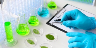 实验室研究和植物基因改造的现代实验室
