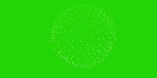 美丽的烟花绽放在夜空中，动画配以绿色的画面。